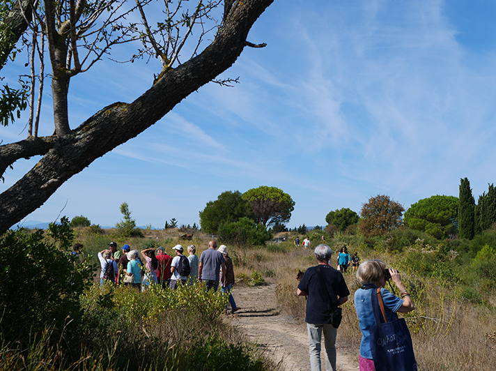 Visites et activités